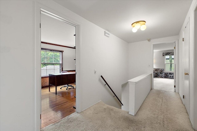 4948 Hardwoods Dr, West Bloomfield, MI 48323 - hallway with an upstairs landing, light carpet, light wood finished floors, and an office area