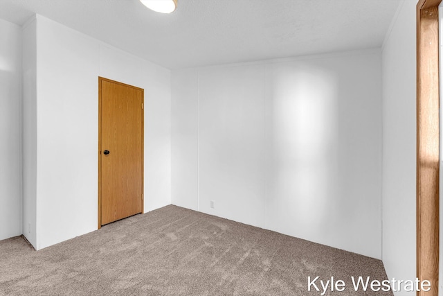 206 Pearl St, Sheridan, MI 48884 - view of carpeted empty room