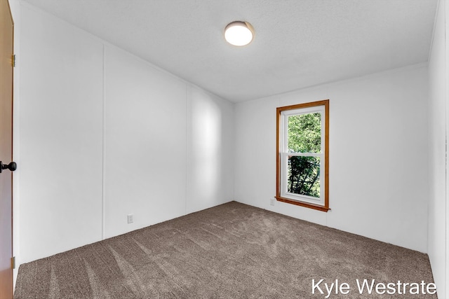 206 Pearl St, Sheridan, MI 48884 - spare room with carpet flooring