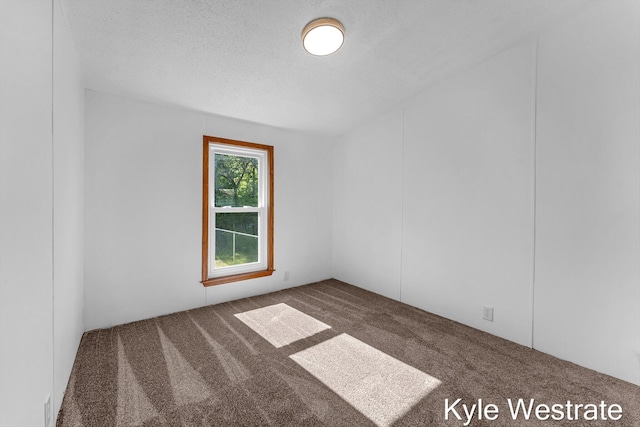 206 Pearl St, Sheridan, MI 48884 - view of carpeted empty room
