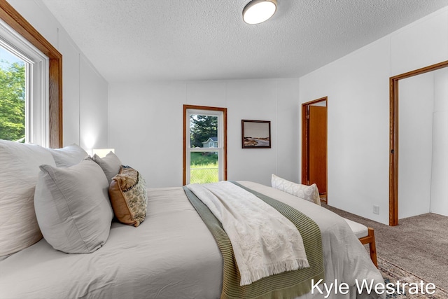 206 Pearl St, Sheridan, MI 48884 - bedroom with multiple windows, a textured ceiling, and carpet