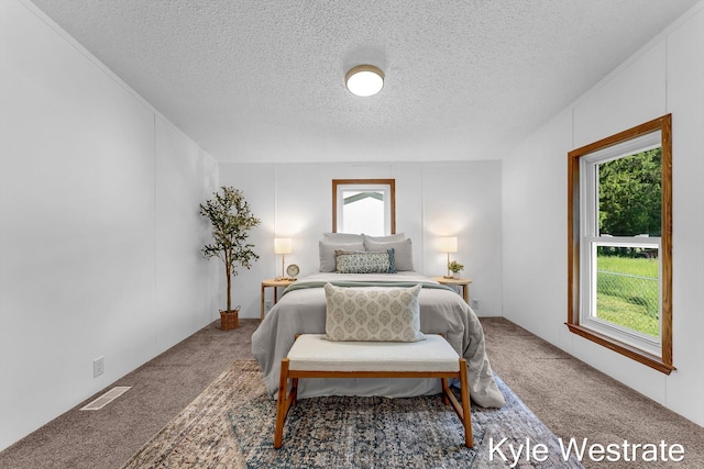 206 Pearl St, Sheridan, MI 48884 - bedroom with carpet floors and a textured ceiling