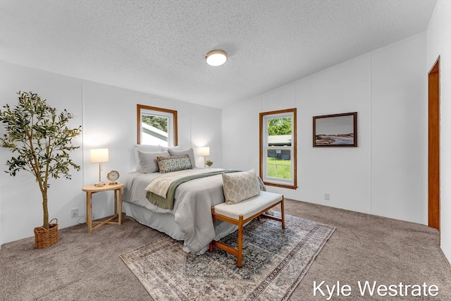 206 Pearl St, Sheridan, MI 48884 - bedroom featuring carpet, a textured ceiling, and vaulted ceiling