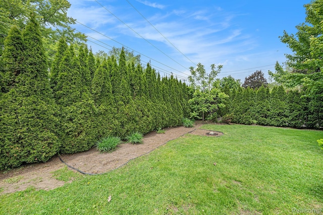 6439 Rockdale Ct, Dearborn Heights, MI 48127 - view of green lawn