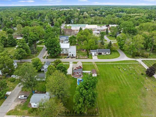 306 Hamilton St, Byron, MI 48418 - drone / aerial view of a forest