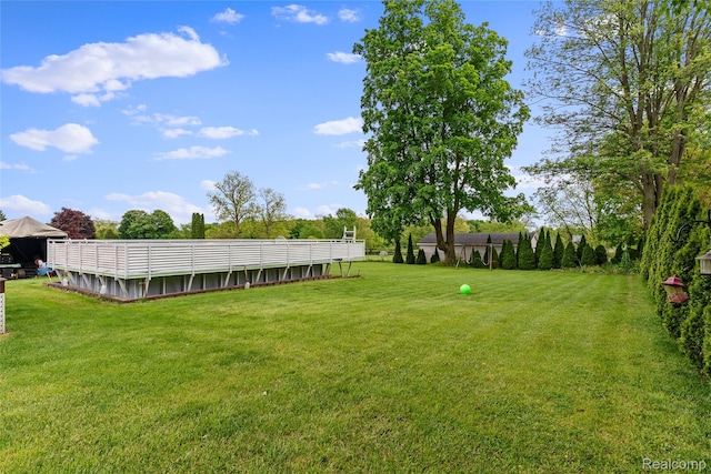 306 Hamilton St, Byron, MI 48418 - view of green lawn