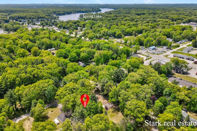 300 N 2nd Ave, Fruitport, MI 49415 - drone / aerial view of a heavily wooded area and a nearby body of water