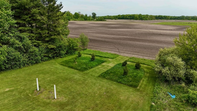 13405 S Gera Rd, Birch Run, MI 48415 - view of yard