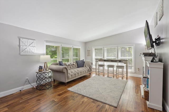 5885 Lammers Rd, Hastings, MI 49058 - living room featuring lofted ceiling, plenty of natural light, baseboards, and wood finished floors
