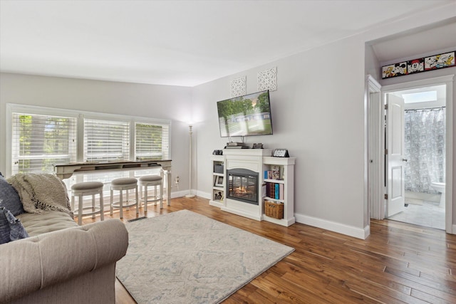 5885 Lammers Rd, Hastings, MI 49058 - living area featuring wood finished floors, baseboards, and a glass covered fireplace