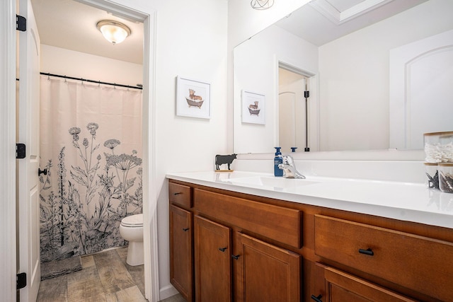 10900 Vine Leaf Cir, Allendale, MI 49401 - full bath featuring toilet, wood finished floors, vanity, and curtained shower