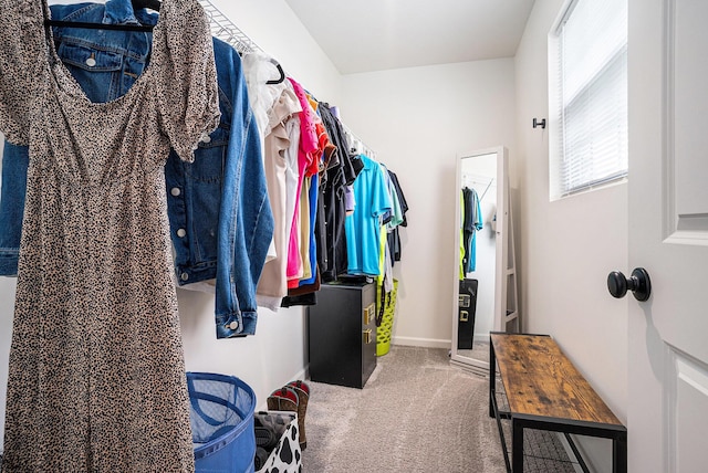10900 Vine Leaf Cir, Allendale, MI 49401 - walk in closet with carpet