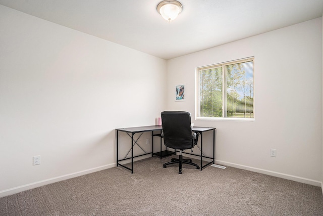 10900 Vine Leaf Cir, Allendale, MI 49401 - office space featuring carpet flooring and baseboards