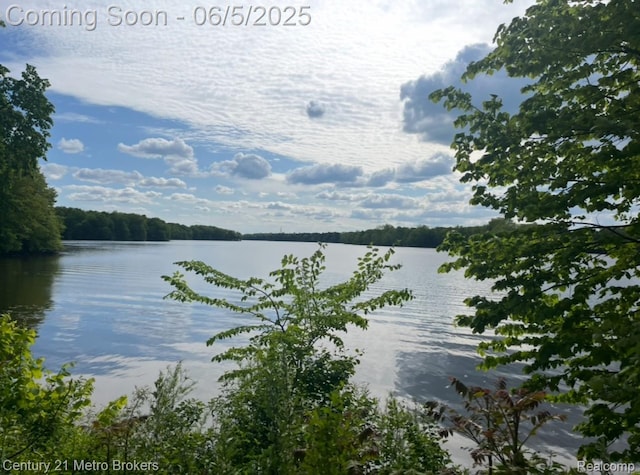 4447 Stanley Rd, Genesee, MI 48437 - water view featuring a forest