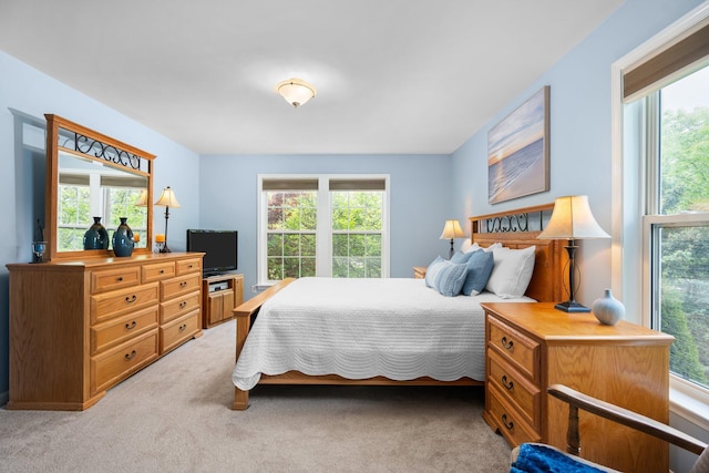 4388 Lori Lynn Ln, Whitmore Lake, MI 48189 - bedroom featuring multiple windows and light carpet