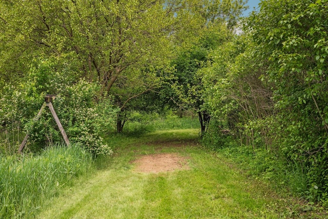 4388 Lori Lynn Ln, Whitmore Lake, MI 48189 - view of yard