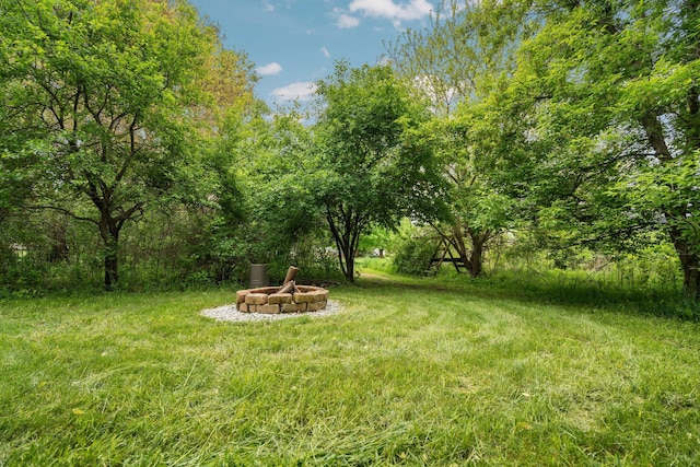 4388 Lori Lynn Ln, Whitmore Lake, MI 48189 - view of yard with a fire pit