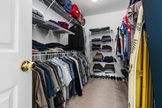 4388 Lori Lynn Ln, Whitmore Lake, MI 48189 - walk in closet featuring carpet