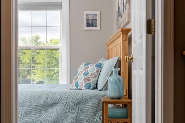 4388 Lori Lynn Ln, Whitmore Lake, MI 48189 - view of bedroom