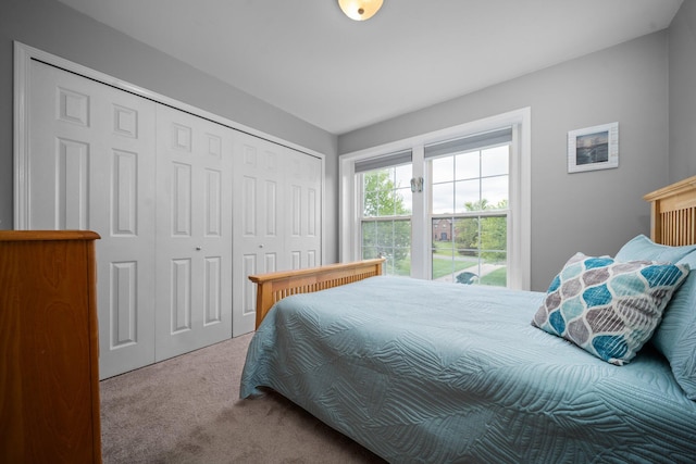 4388 Lori Lynn Ln, Whitmore Lake, MI 48189 - carpeted bedroom with a closet