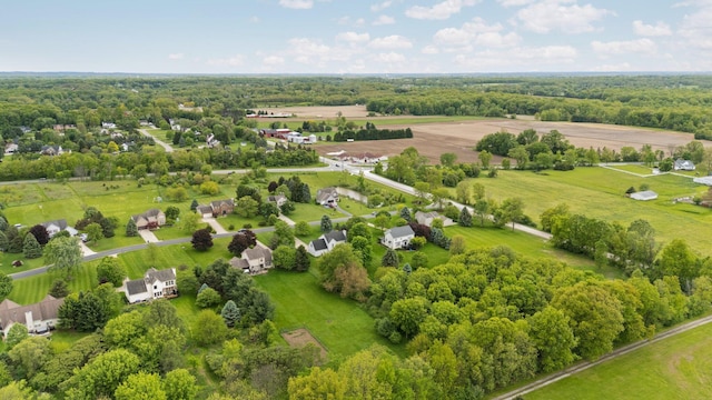 4388 Lori Lynn Ln, Whitmore Lake, MI 48189 - aerial view of sparsely populated area
