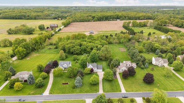 4388 Lori Lynn Ln, Whitmore Lake, MI 48189 - aerial view of sparsely populated area