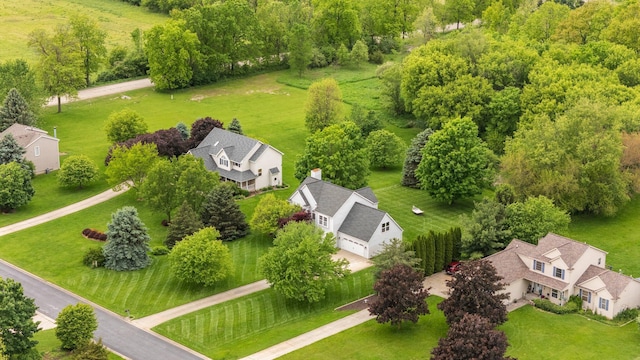 4388 Lori Lynn Ln, Whitmore Lake, MI 48189 - drone / aerial view