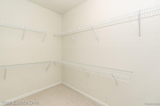 2669 Helmsdale Cir, Rochester, MI 48307 - spacious closet with light carpet