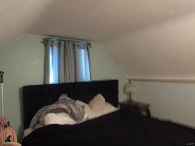 736 State St, Adrian, MI 49221 - bedroom with lofted ceiling
