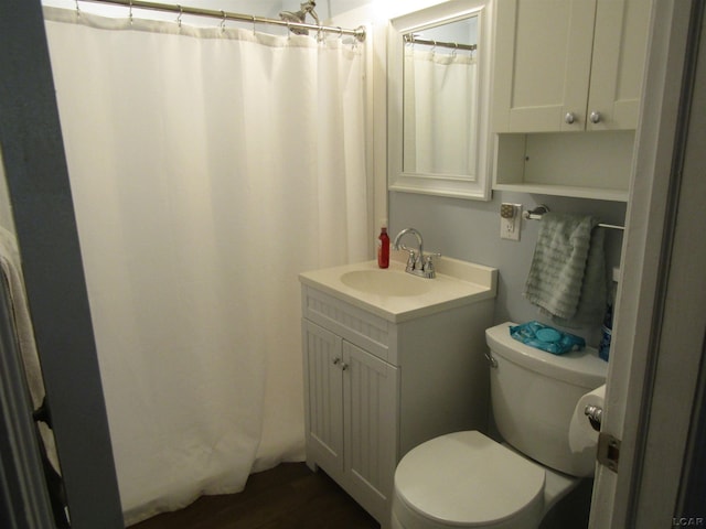736 State St, Adrian, MI 49221 - bathroom featuring toilet, vanity, and wood finished floors