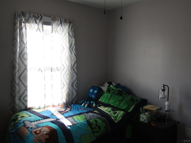 736 State St, Adrian, MI 49221 - bedroom featuring multiple windows