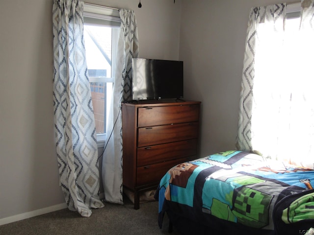 736 State St, Adrian, MI 49221 - bedroom featuring carpet and baseboards