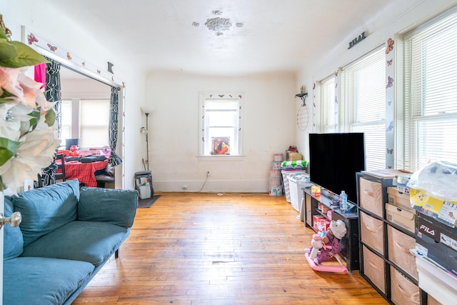 733 Lafayette Ave NE, Grand Rapids, MI 49503 - living room featuring hardwood / wood-style floors