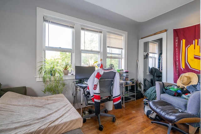 733 Lafayette Ave NE, Grand Rapids, MI 49503 - bedroom with wood finished floors