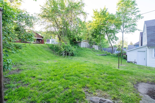733 Lafayette Ave NE, Grand Rapids, MI 49503 - view of yard