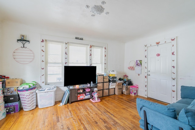 733 Lafayette Ave NE, Grand Rapids, MI 49503 - living room featuring wood finished floors