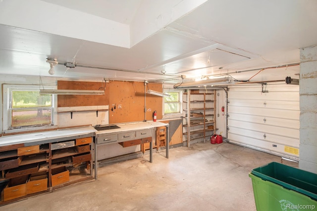 613 Genesee Ave, Gaines, MI 48436 - garage featuring a workshop area
