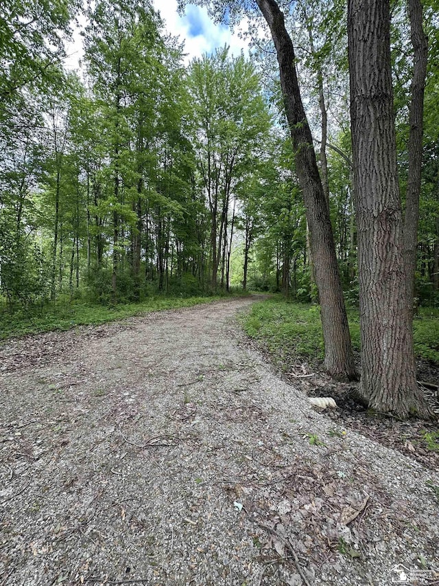 3886 Douglas Rd, Ida, MI 48140