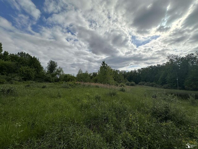 3886 Douglas Rd, Ida, MI 48140