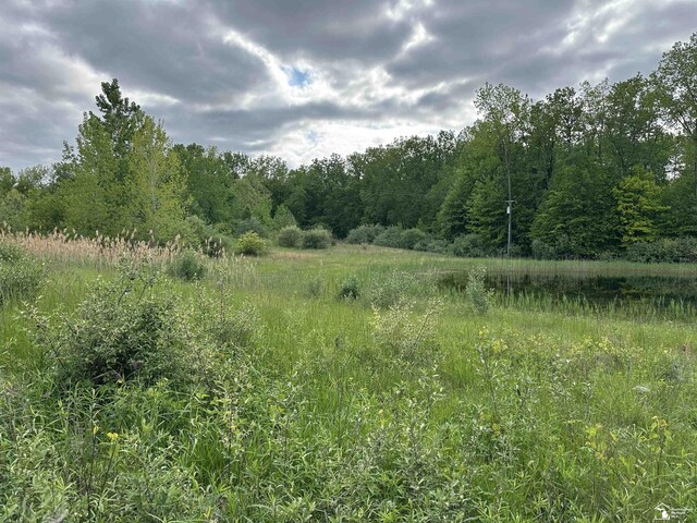 3886 Douglas Rd, Ida, MI 48140