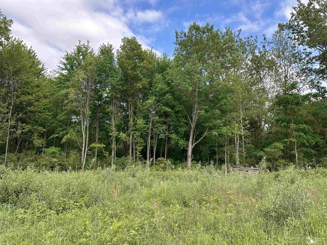 3886 Douglas Rd, Ida, MI 48140