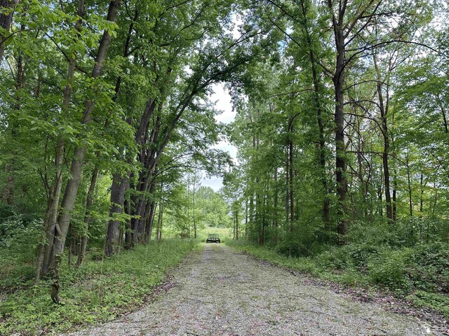 3886 Douglas Rd, Ida, MI 48140