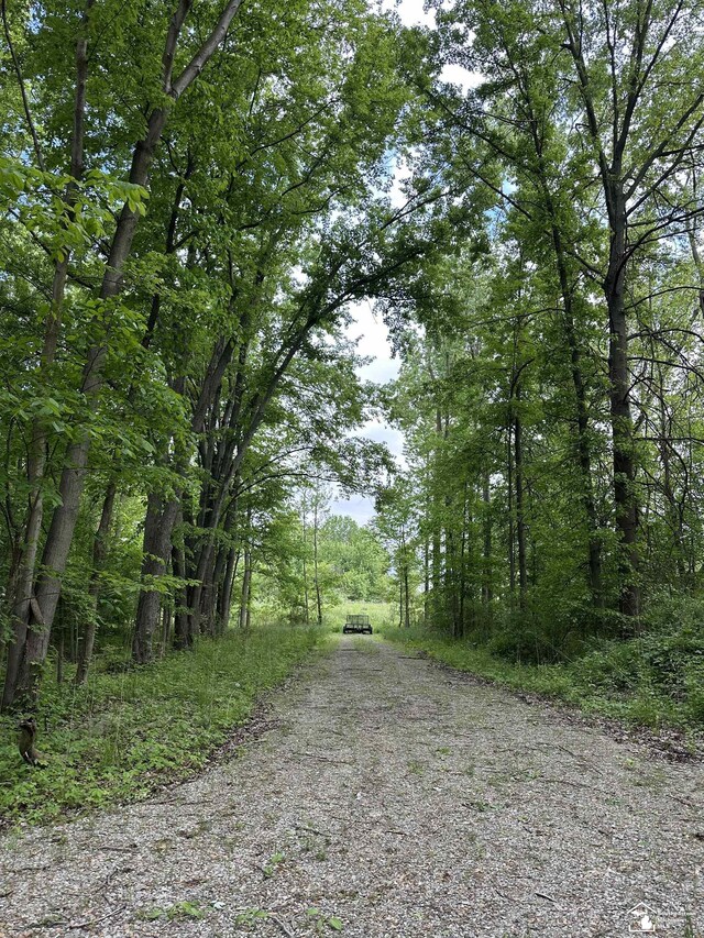 3886 Douglas Rd, Ida, MI 48140