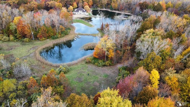 3886 Douglas Rd, Ida, MI 48140