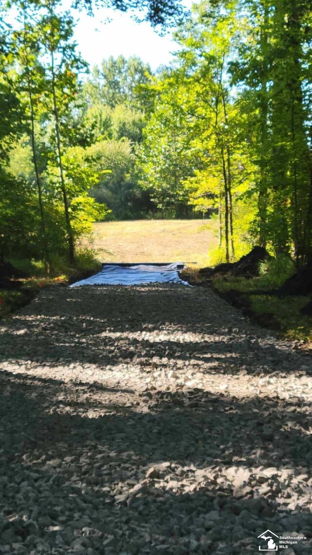 3886 Douglas Rd, Ida, MI 48140
