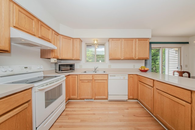 324 Redrock Ct, Ann Arbor, MI 48103 - kitchen with white appliances, under cabinet range hood, a sink, and plenty of natural light