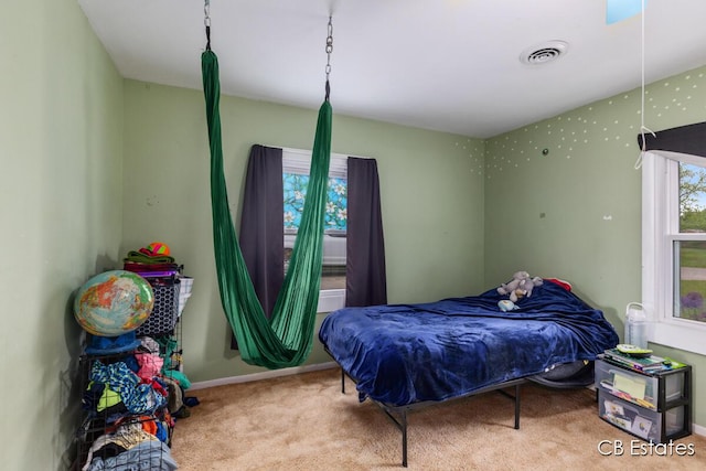 1044 Dahlia Ave, Wayland, MI 49348 - carpeted bedroom with baseboards