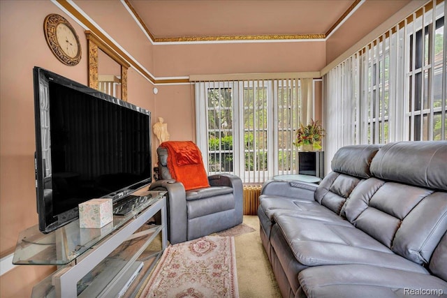 2505 Chicago Blvd, Detroit, MI 48206 - carpeted living area featuring plenty of natural light