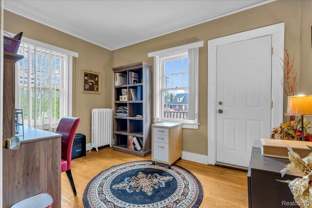 2505 Chicago Blvd, Detroit, MI 48206 - office area with radiator, ornamental molding, light wood-style floors, and plenty of natural light