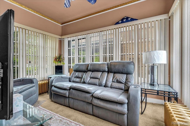 2505 Chicago Blvd, Detroit, MI 48206 - sunroom / solarium with radiator heating unit